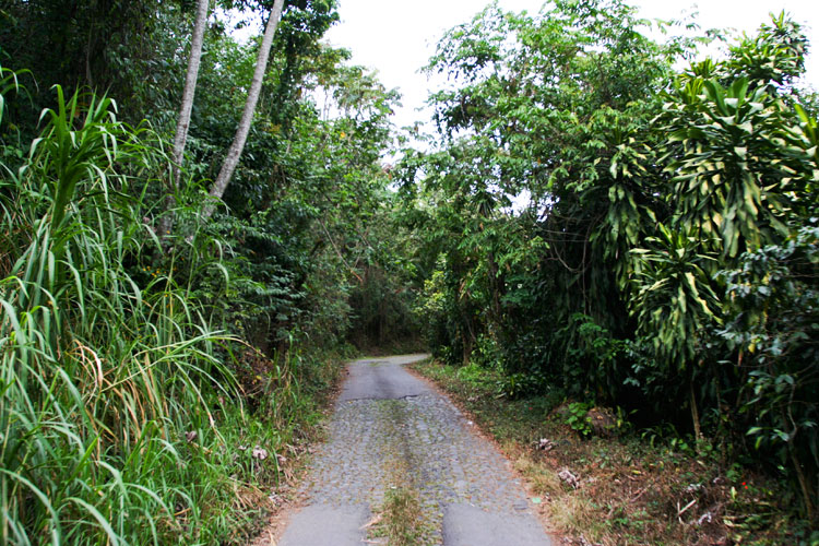 photo photo