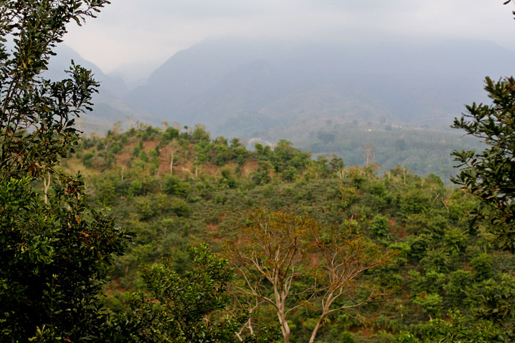 photo photo