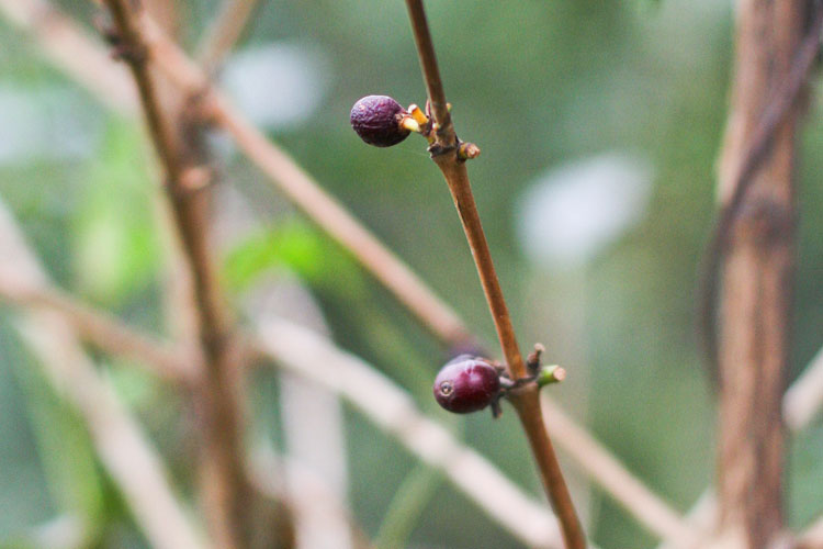 photo photo