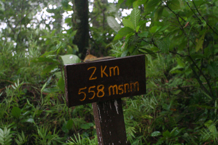 photo photo