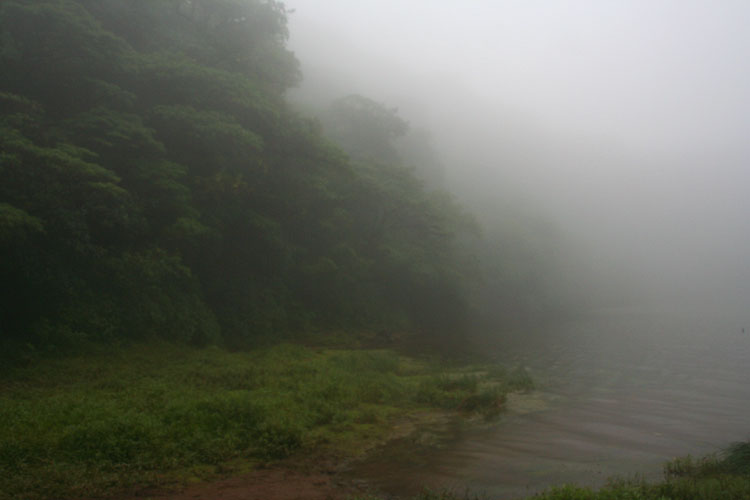 photo photo