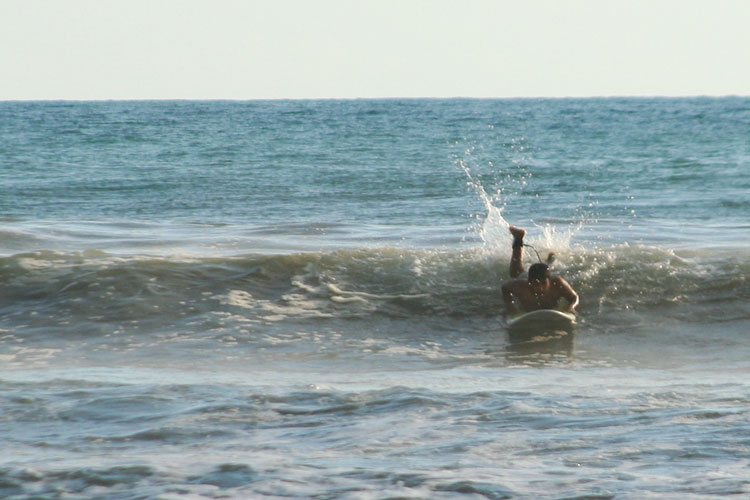 photo photo