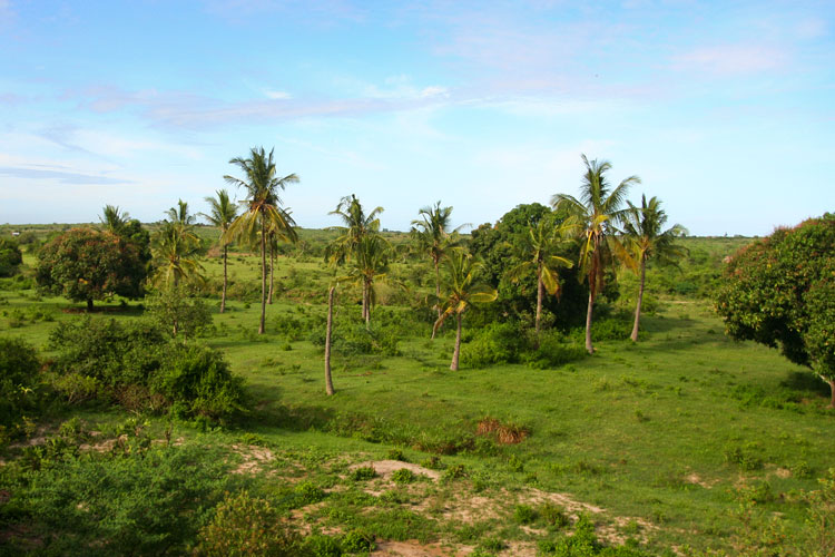 photo photo