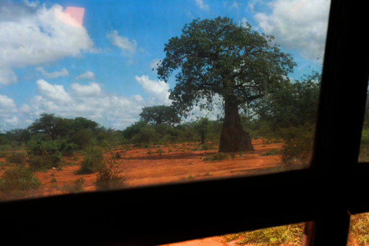 photo photo