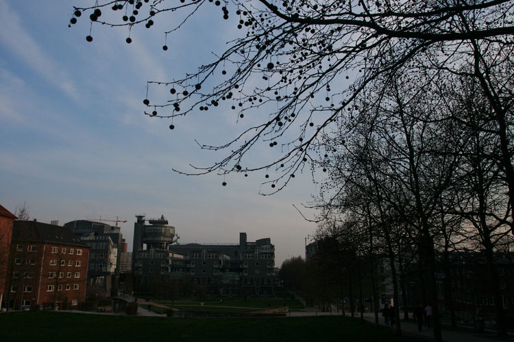 photo photo