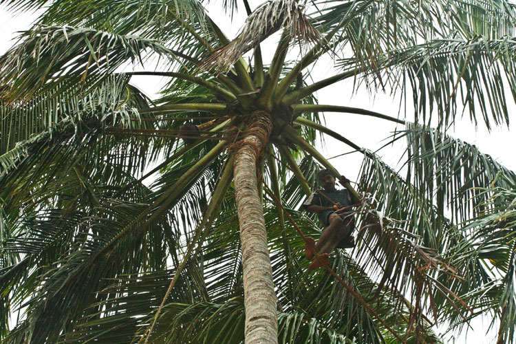 photo photo