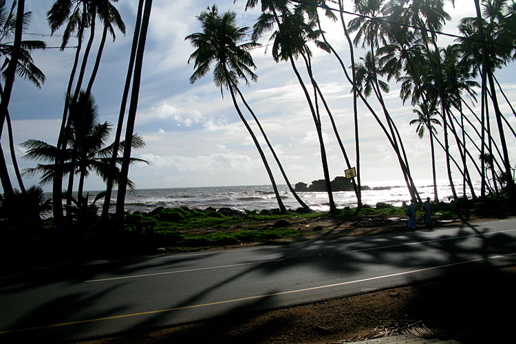 photo photo