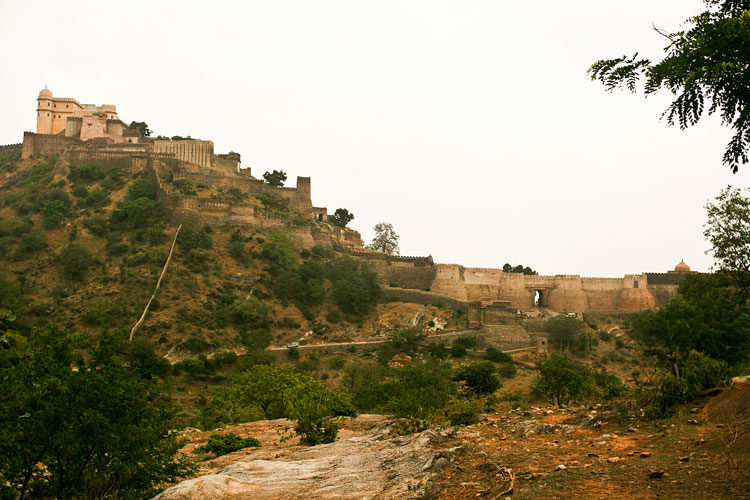 photo photo